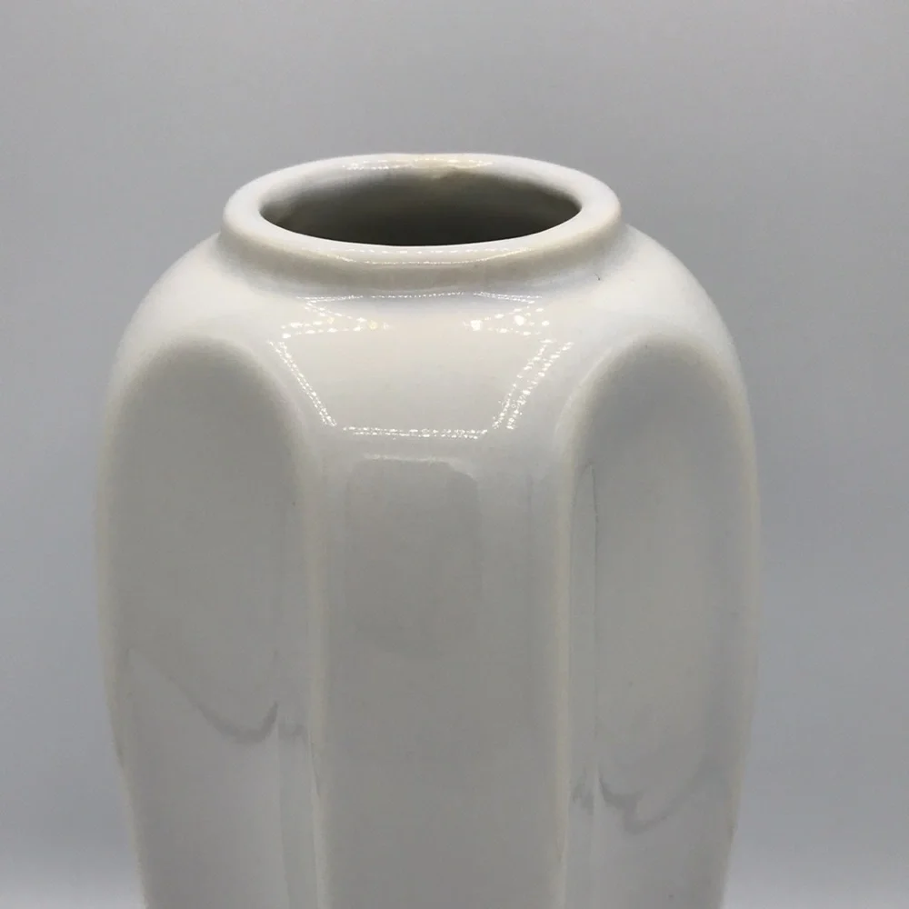 White gloss vase